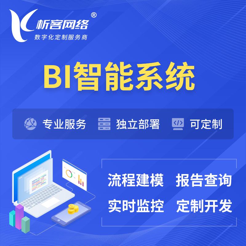 海西蒙古族藏族BI智能系统 | BI数据可视化