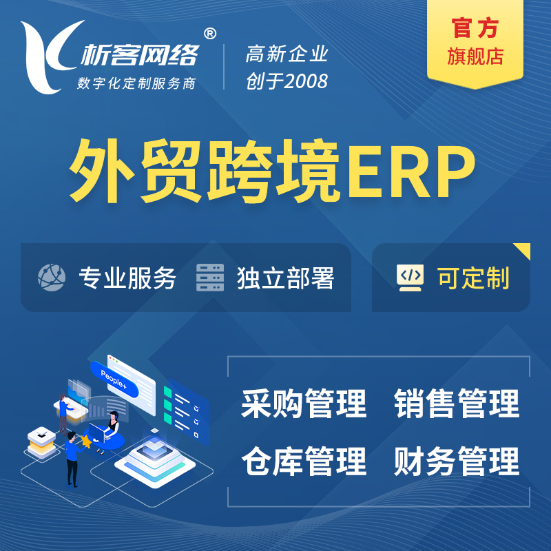 海西蒙古族藏族外贸跨境ERP软件生产海外仓ERP管理系统
